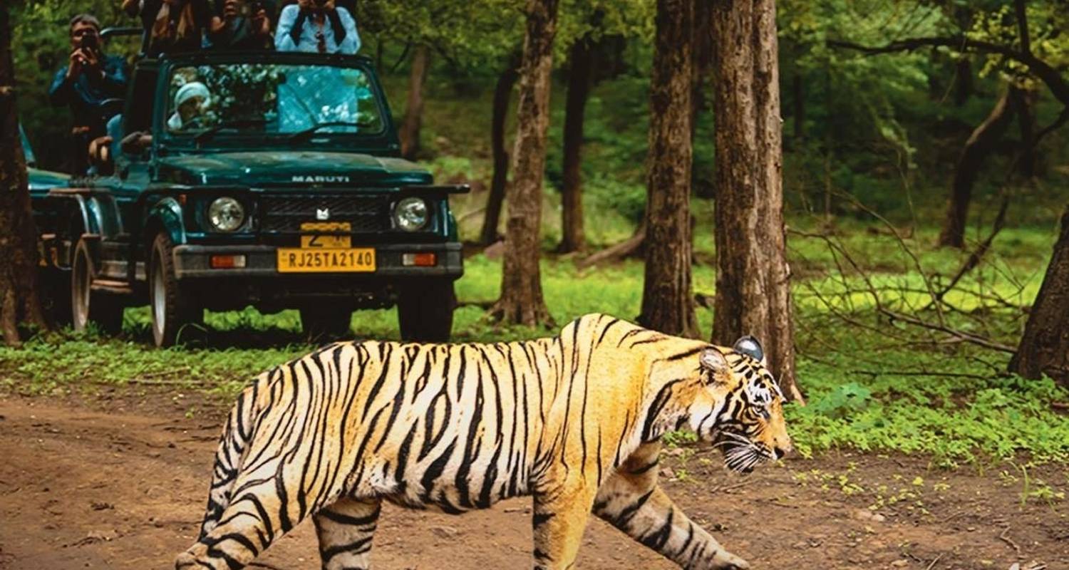  8 Days Golden Triangle with Ranthambore & Udaipur Tour 